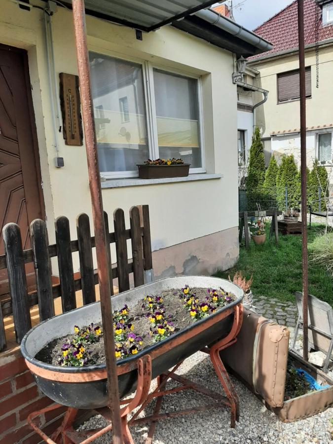 קאפוט Apartment Sorgenfrei מראה חיצוני תמונה